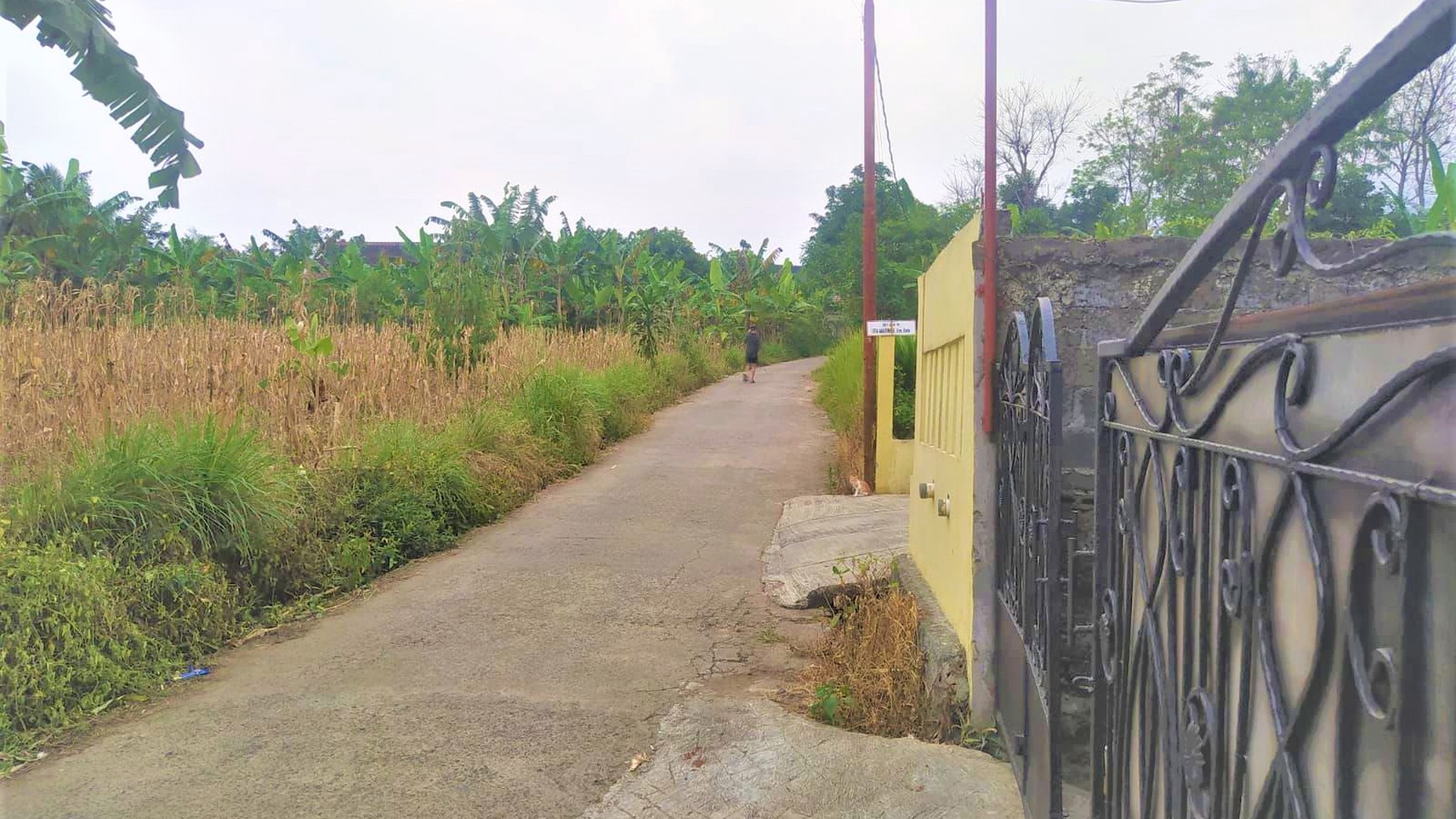 Rumah Siap Huni Cocok untuk Hunian dan Home Industri @Kp. Cibedug, Ciawi, Bogor