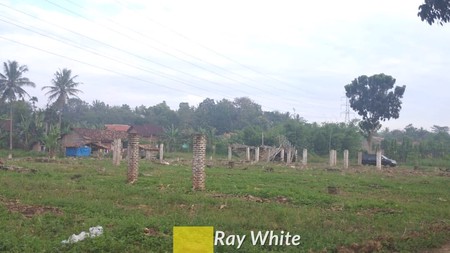 Dijual Tanah Perkebunan