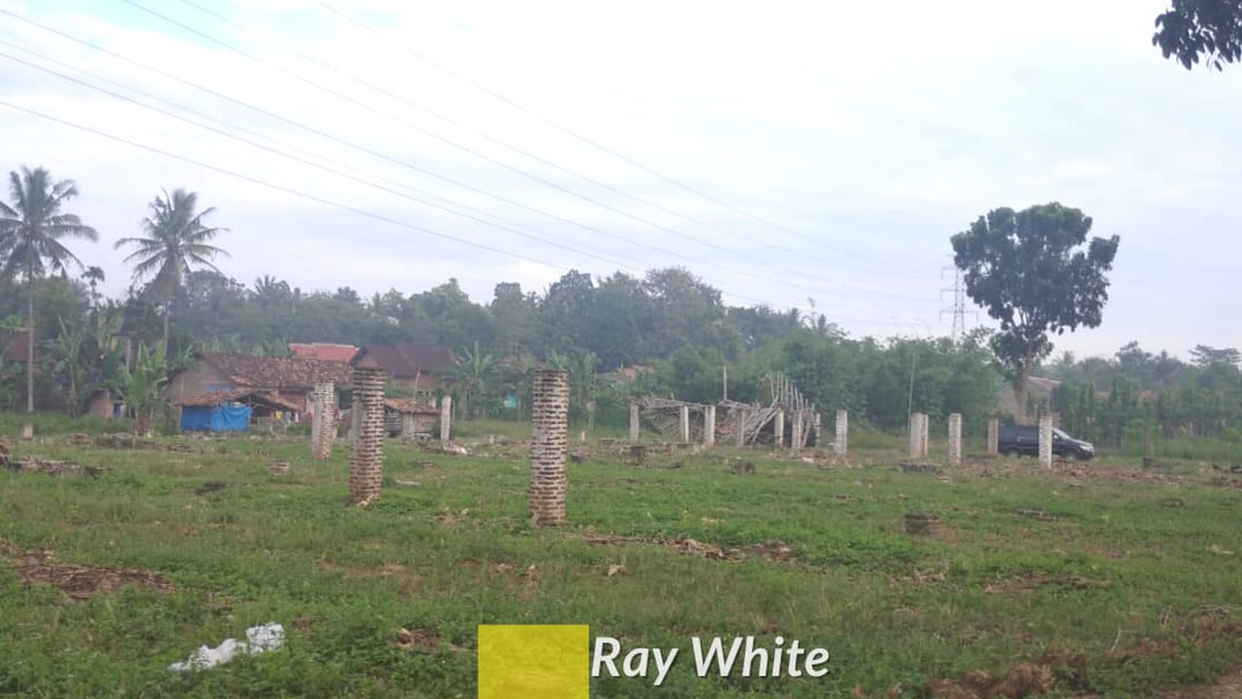 Dijual Tanah Perkebunan