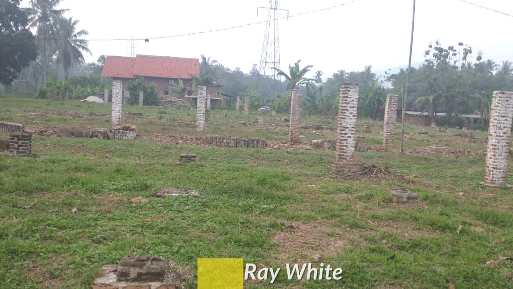 Dijual Tanah Perkebunan