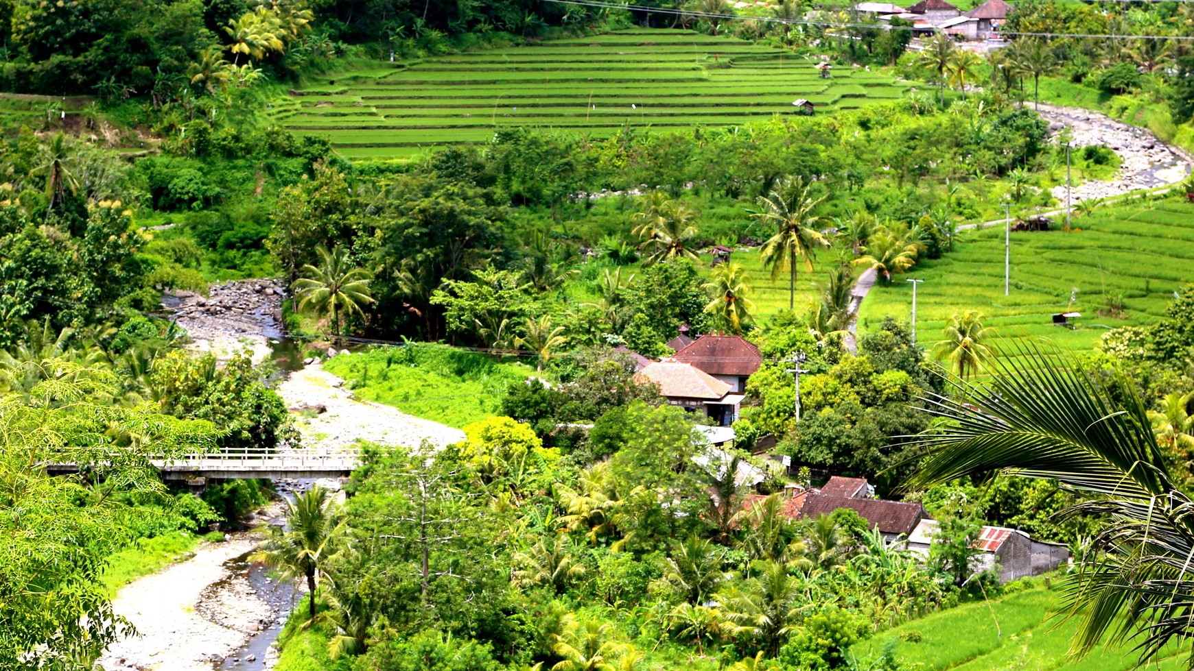 1450 Sqm Property Oozes Charm In Bedugul Tabanan