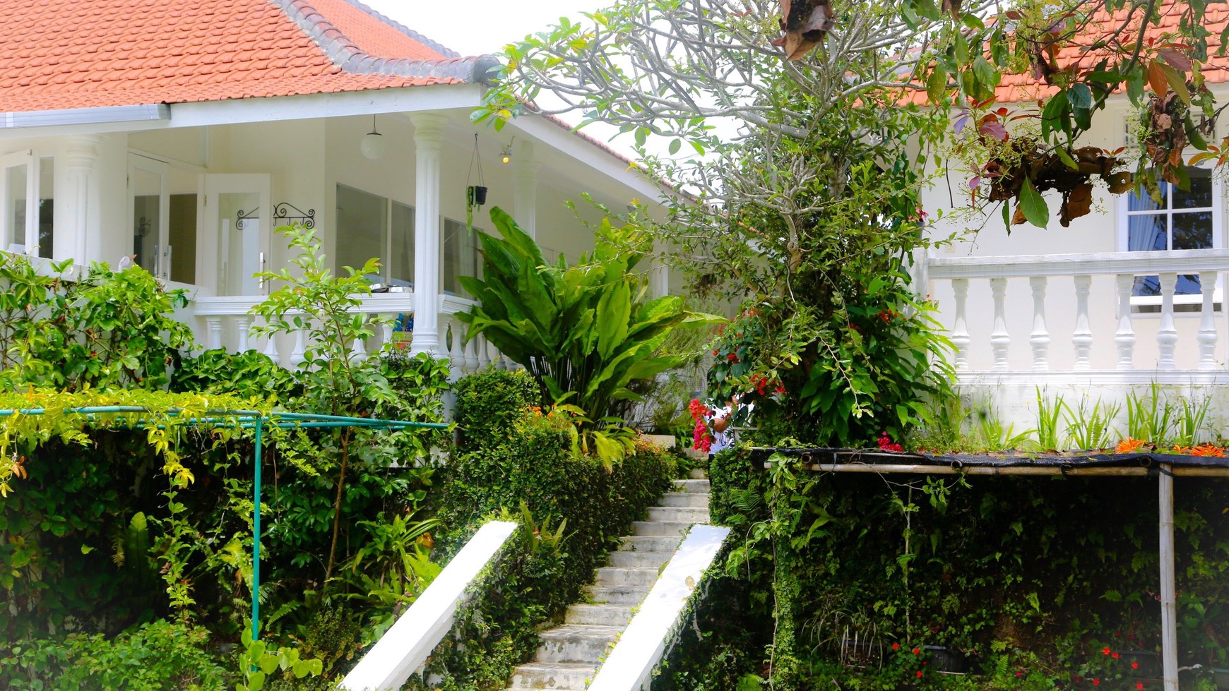 1450 Sqm Property Oozes Charm In Bedugul Tabanan