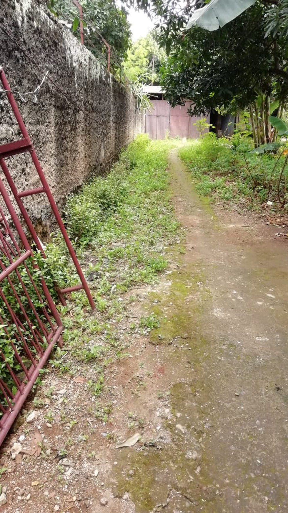 Rumah Dijual Hitung Tanah Murah di Kebon Kopi Jakarta Selatan.