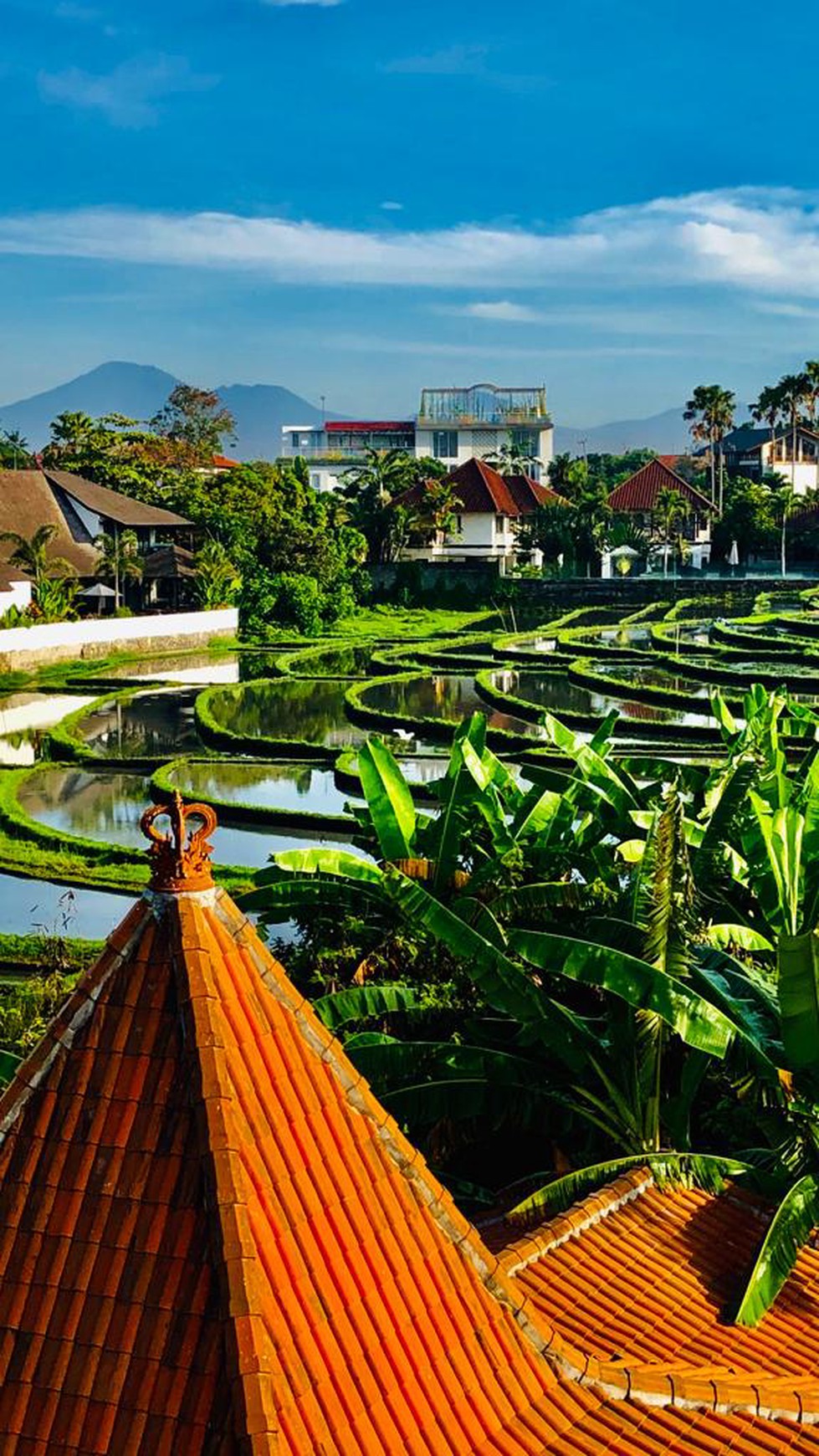 Villa 1 Bedrooms with Ocean View in Close Beach Pererenan Bali