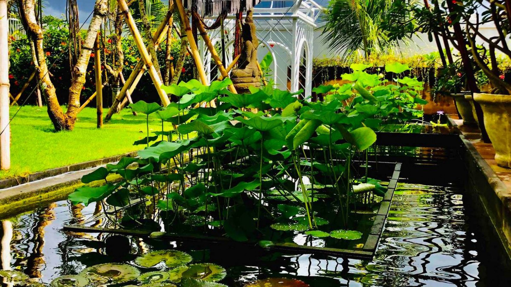 Villa Leasehold Pool and Gardens near Canggu Beaches Bali