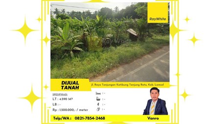 Tanah Pinggir Jalan Raya Tanjungan Katibungan Hanya 1,5 Juta/meter