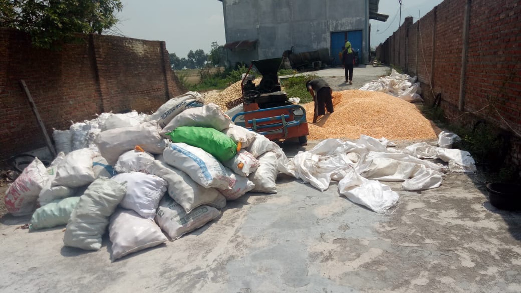 Gudang di Jl Mojosari - Pacet, Kutorejo, Mojokerto