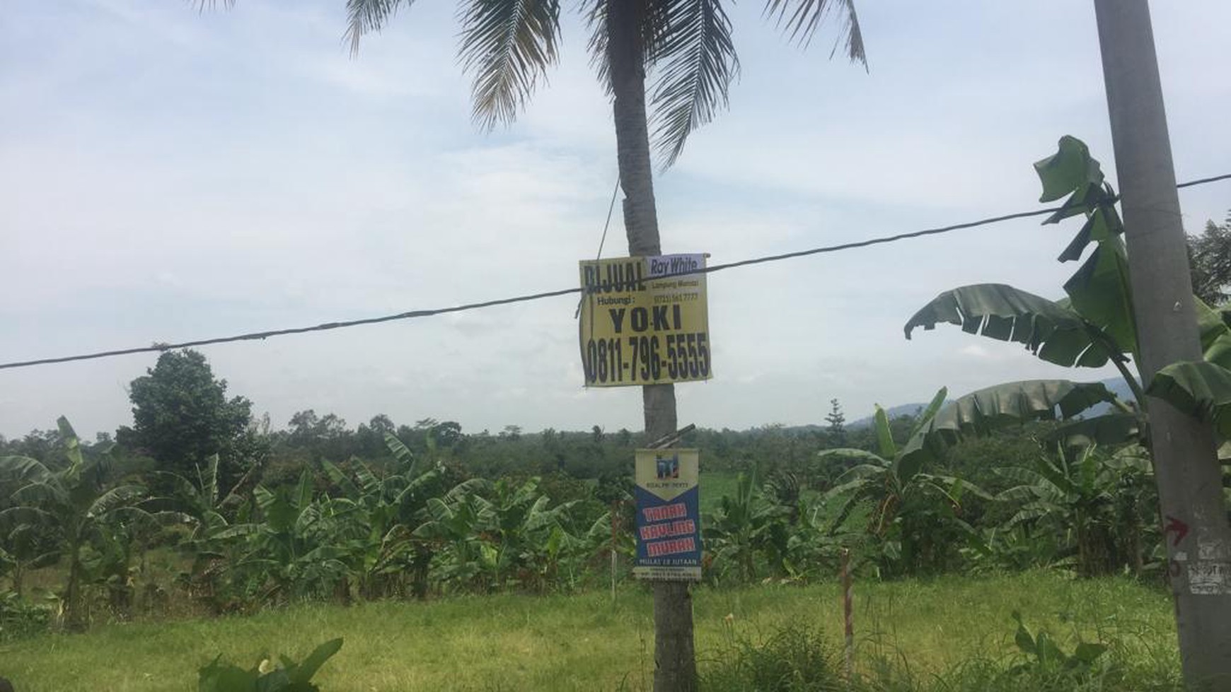 Tanah murah di desa tanjung baru kaliasin dekat jalan Ir.Sutami