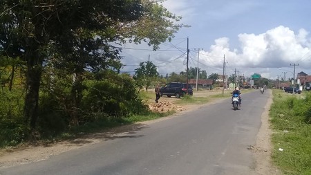 Tanah murah banget di pringsewu Lampung