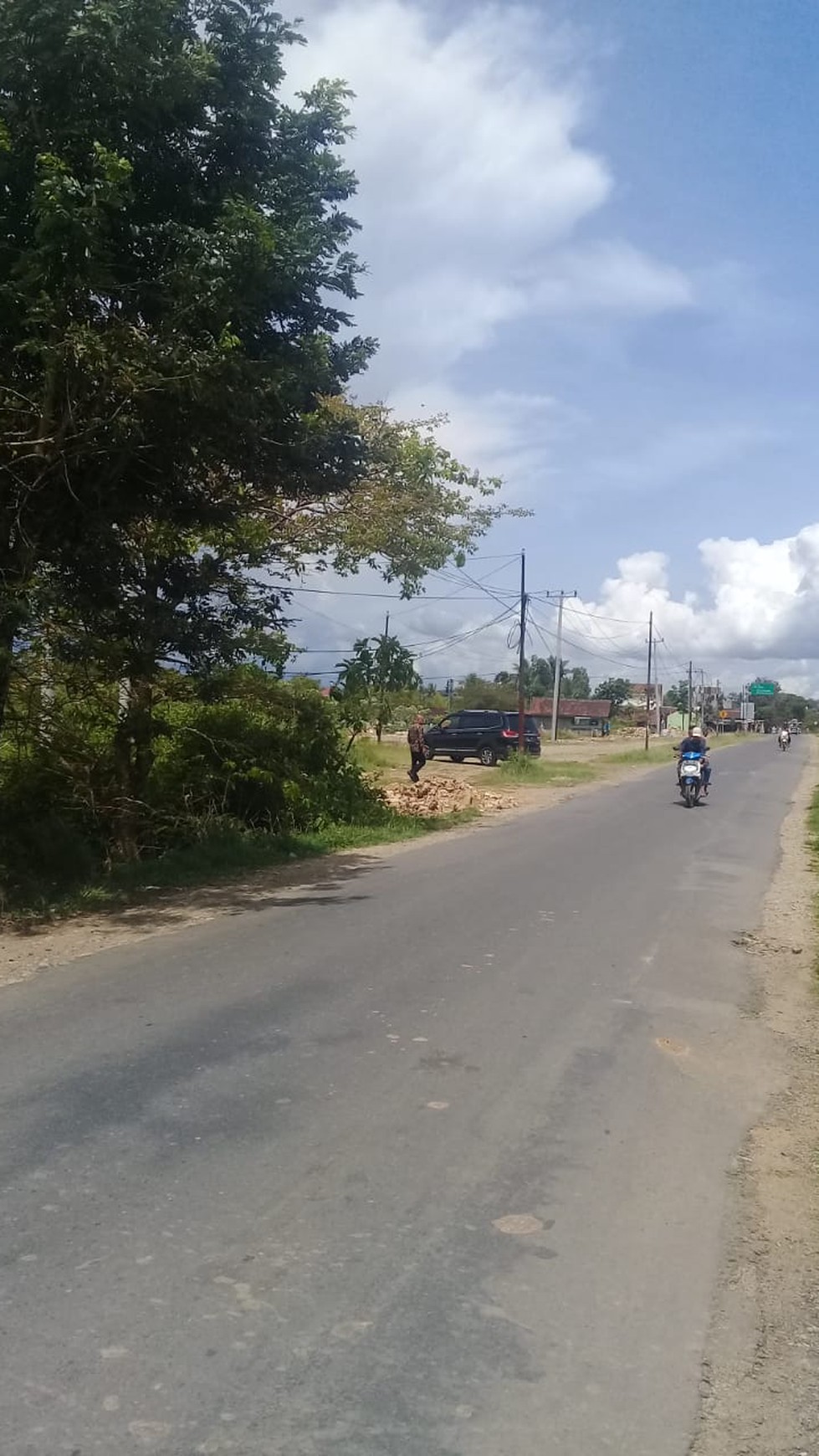 Tanah murah banget di pringsewu Lampung