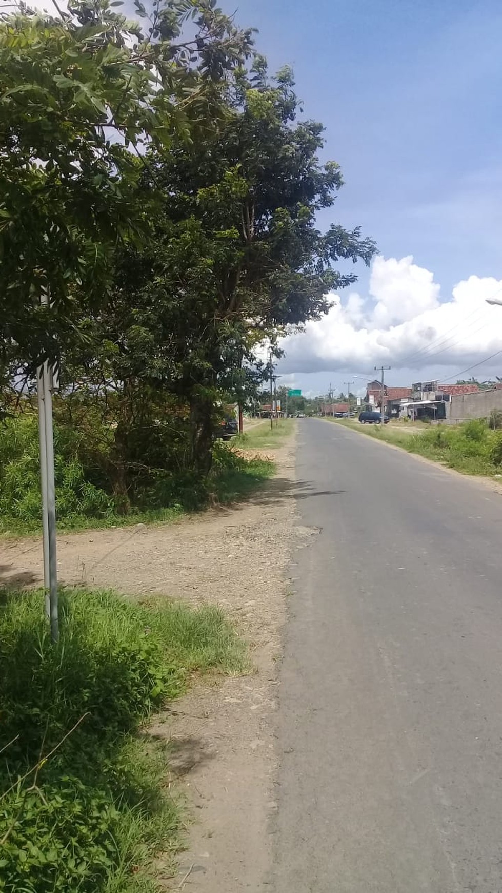 Tanah murah banget di pringsewu Lampung