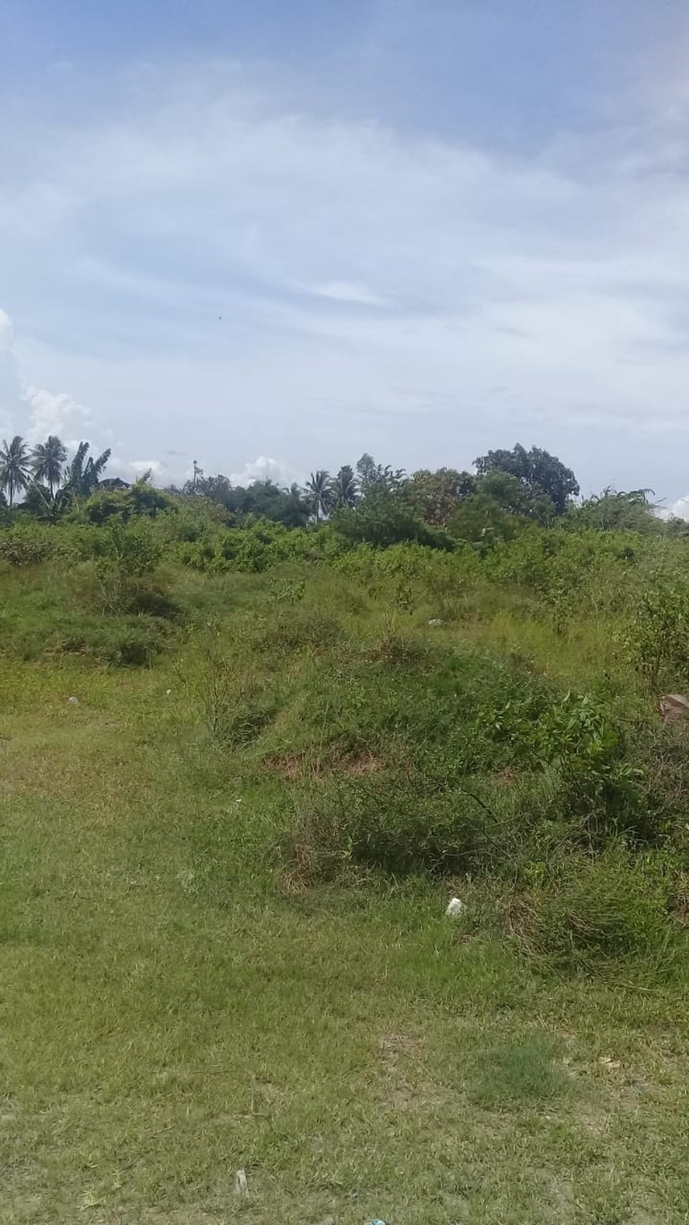 Tanah murah banget di pringsewu Lampung