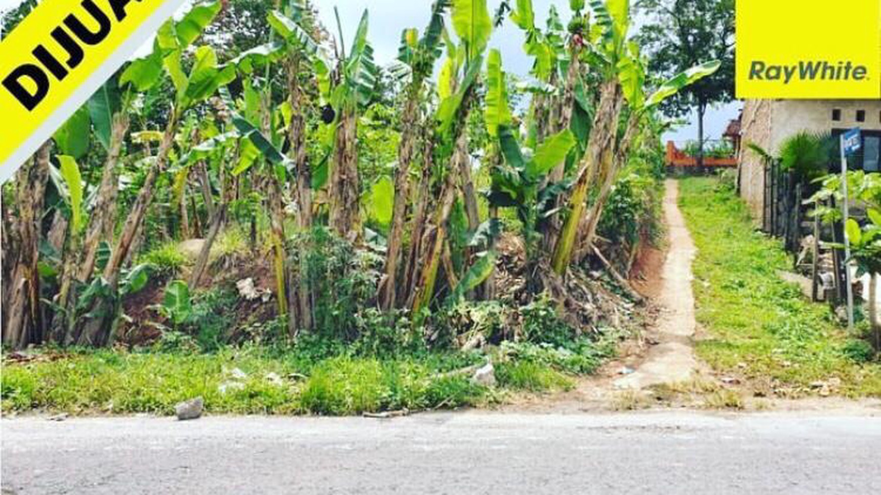 Tanah murah di teluk betung utara jalan Pangeran Emir M noor