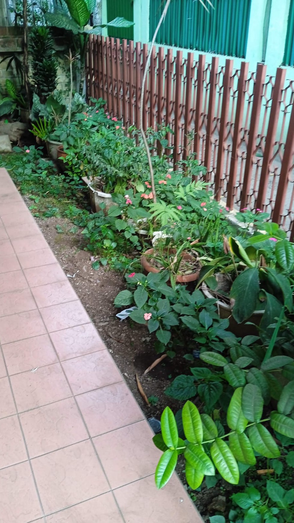 Rumah Minimalis di Sayap Sukajadi Bandung