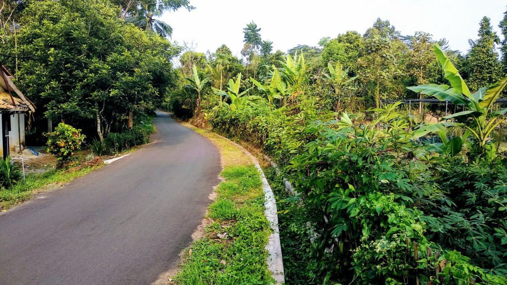 Kavling Murah Di Agrowisata Gandamanis, Desa Bangkonal Pandegelang Banten