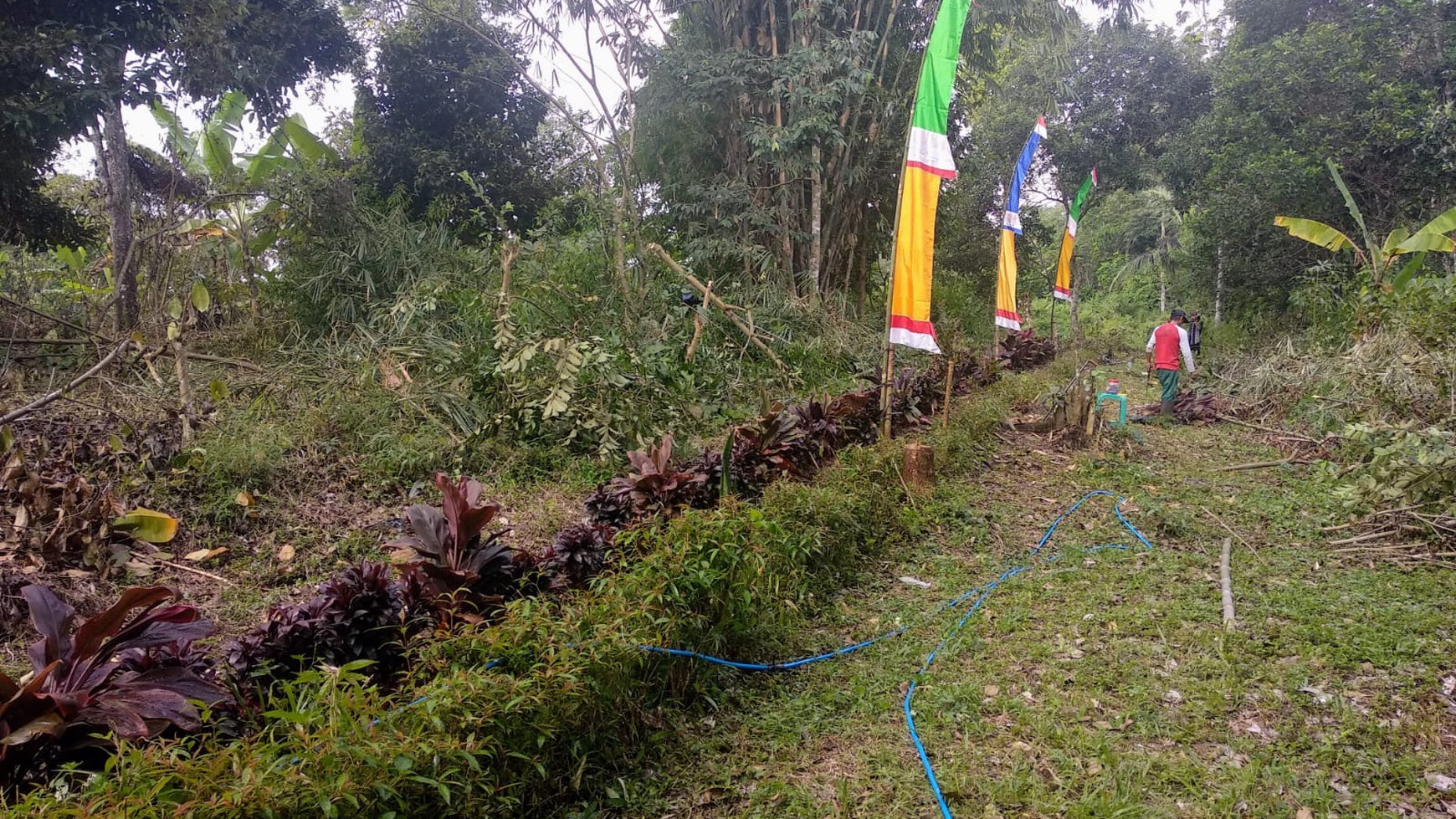 Kavling Murah Di Agrowisata Gandamanis, Desa Bangkonal Pandegelang Banten