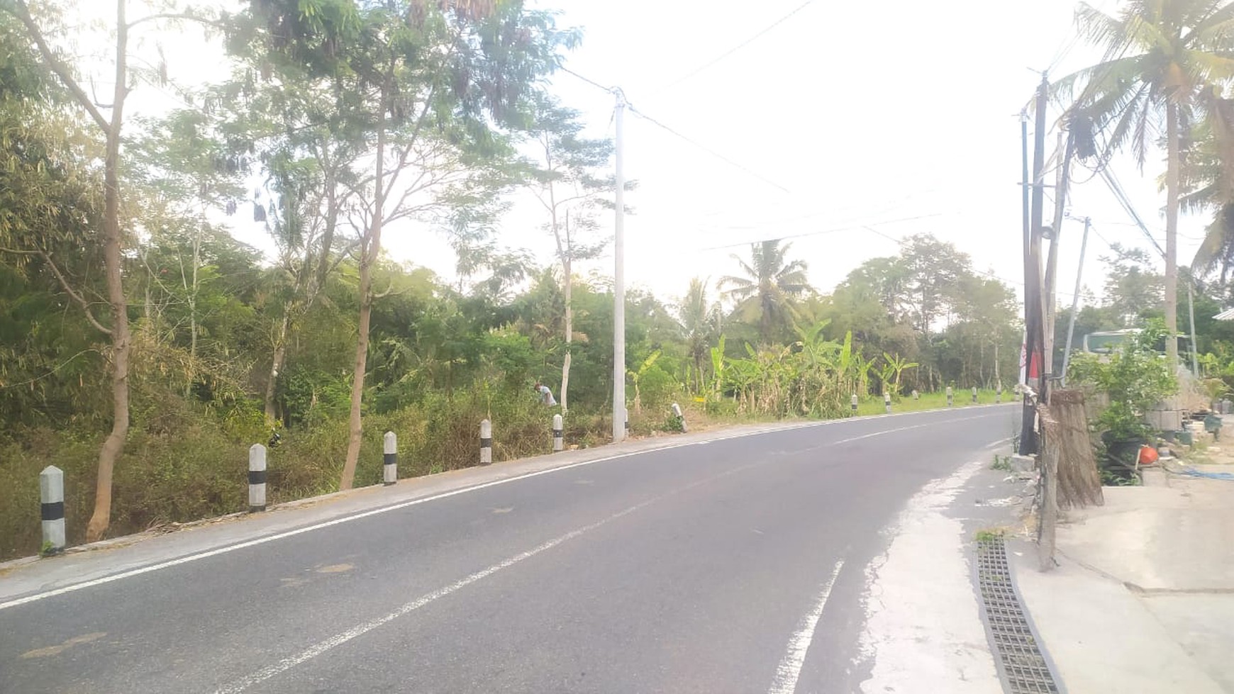 Disewakan Tanah 1200 Meter Persegi Lokasi Dekat Kampus UII Ngemplak Sleman 