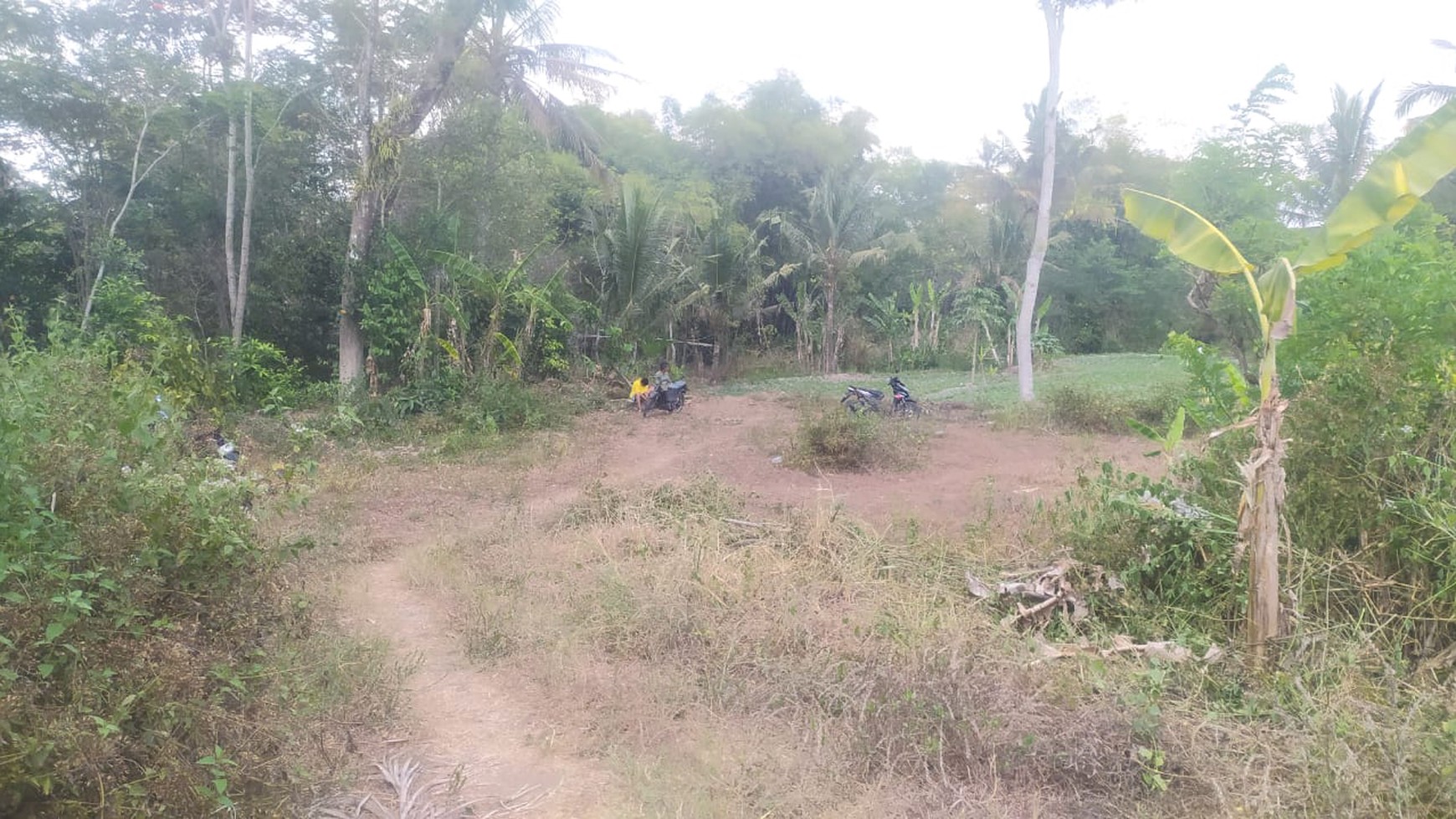 Disewakan Tanah 1200 Meter Persegi Lokasi Dekat Kampus UII Ngemplak Sleman 