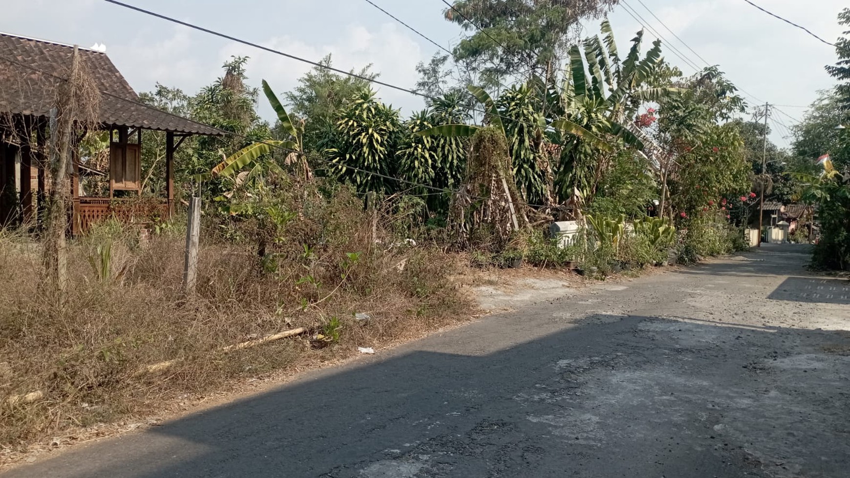 Tanah Pekarangan Luas 305 Meter Persegi Lokasi Pakembinangun Sleman 