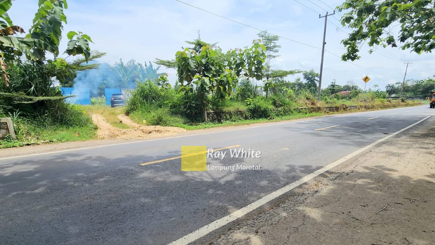 Dijual Tanah Perkebunan