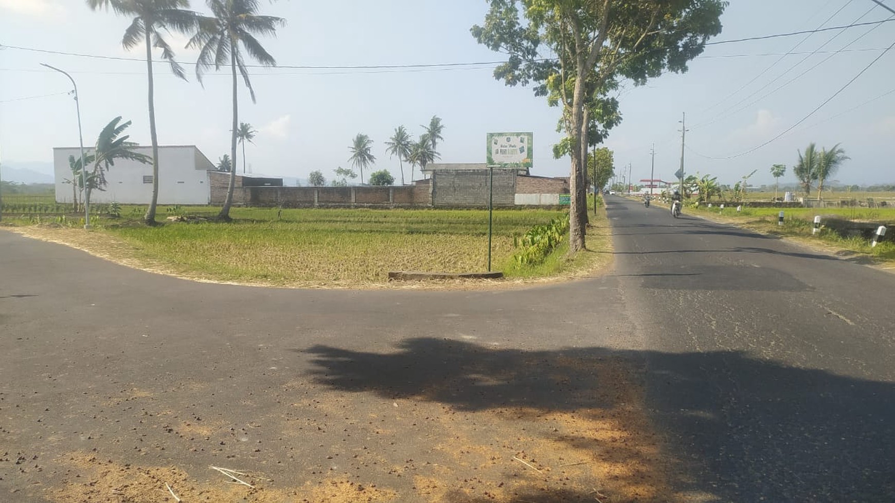 Tanah Sawah Luas 1231 Meter Persegi Lokasi Moyudan Sleman 