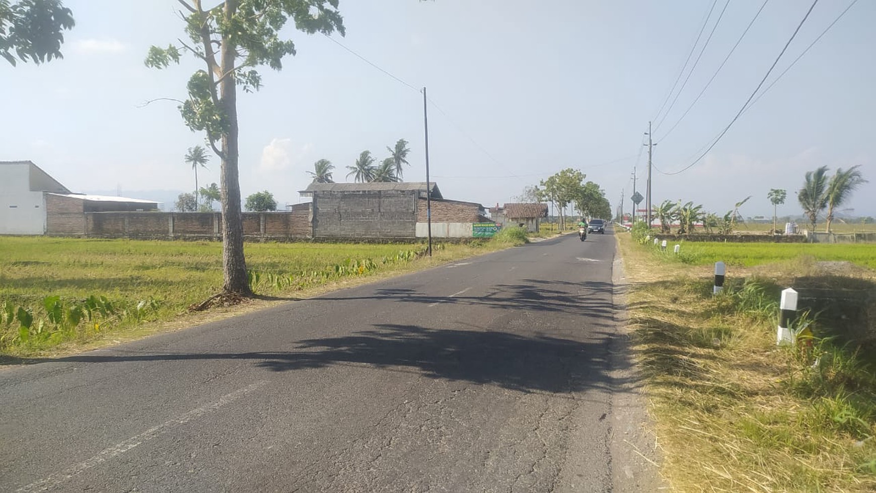 Tanah Sawah Luas 1231 Meter Persegi Lokasi Moyudan Sleman 