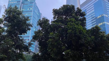Kavling Commercial MEGA KUNINGAN,Jarang ada,sangat strategis,terletak di pusat bisnis jakarta.