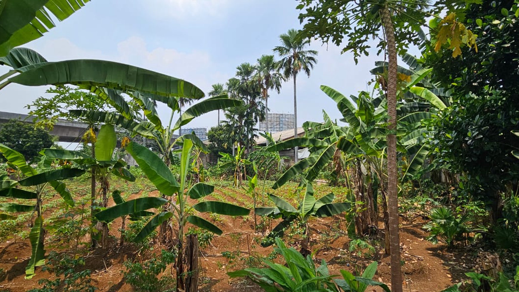 Kavling Siap Bangun di Pinggir Jalan Sholeh Iskandar, Cibadak, Tanah Sereal, Bogor