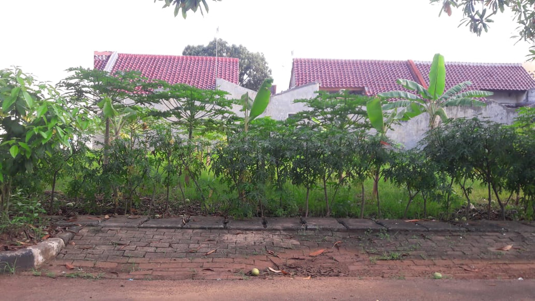 Kavling Di Metland Cakung Jakarta Timur