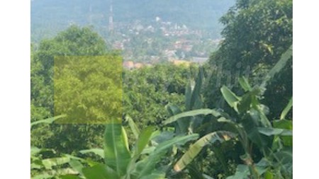 Tanah murah di jalan Teluk Pandan Desa Hanura Pesawaran (Aln&sm)