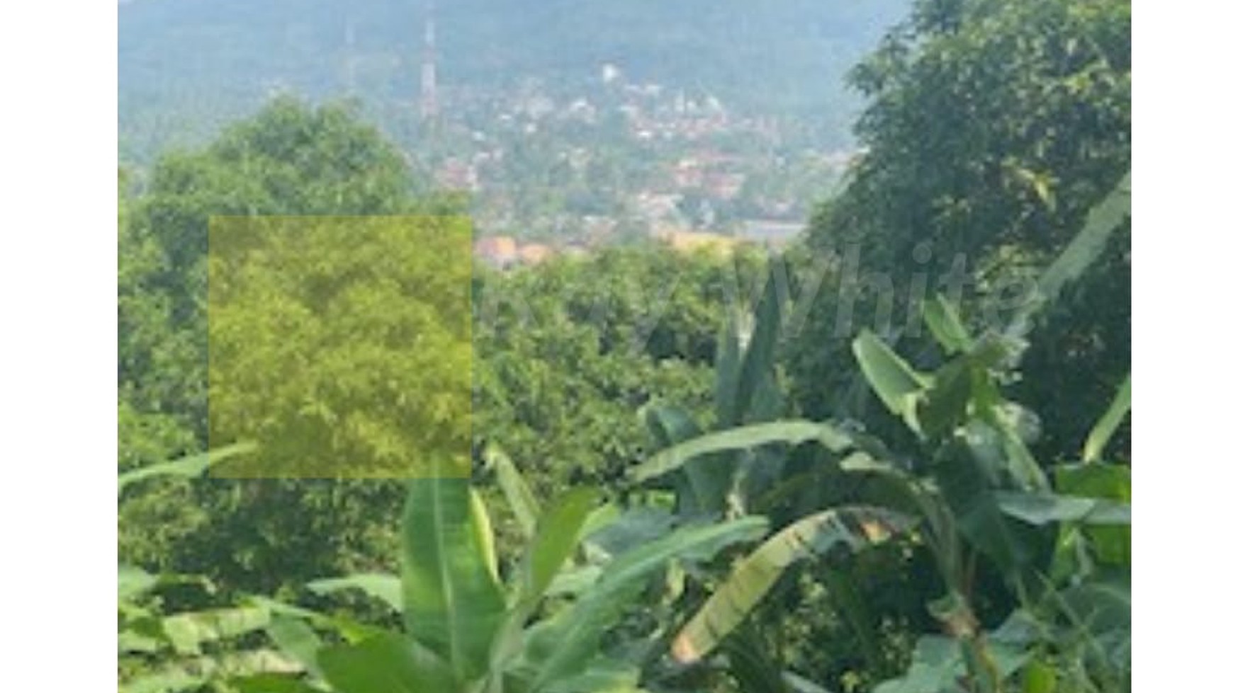 Tanah murah di jalan Teluk Pandan Desa Hanura Pesawaran (Aln&sm)