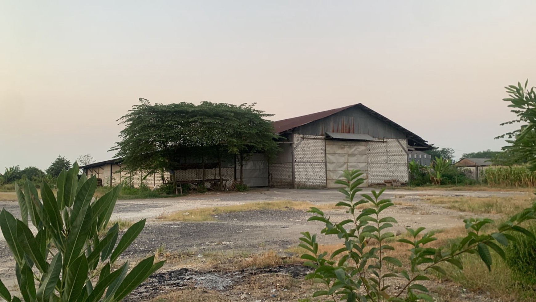 Disewakan Gudang di Pucuk - Lamongan