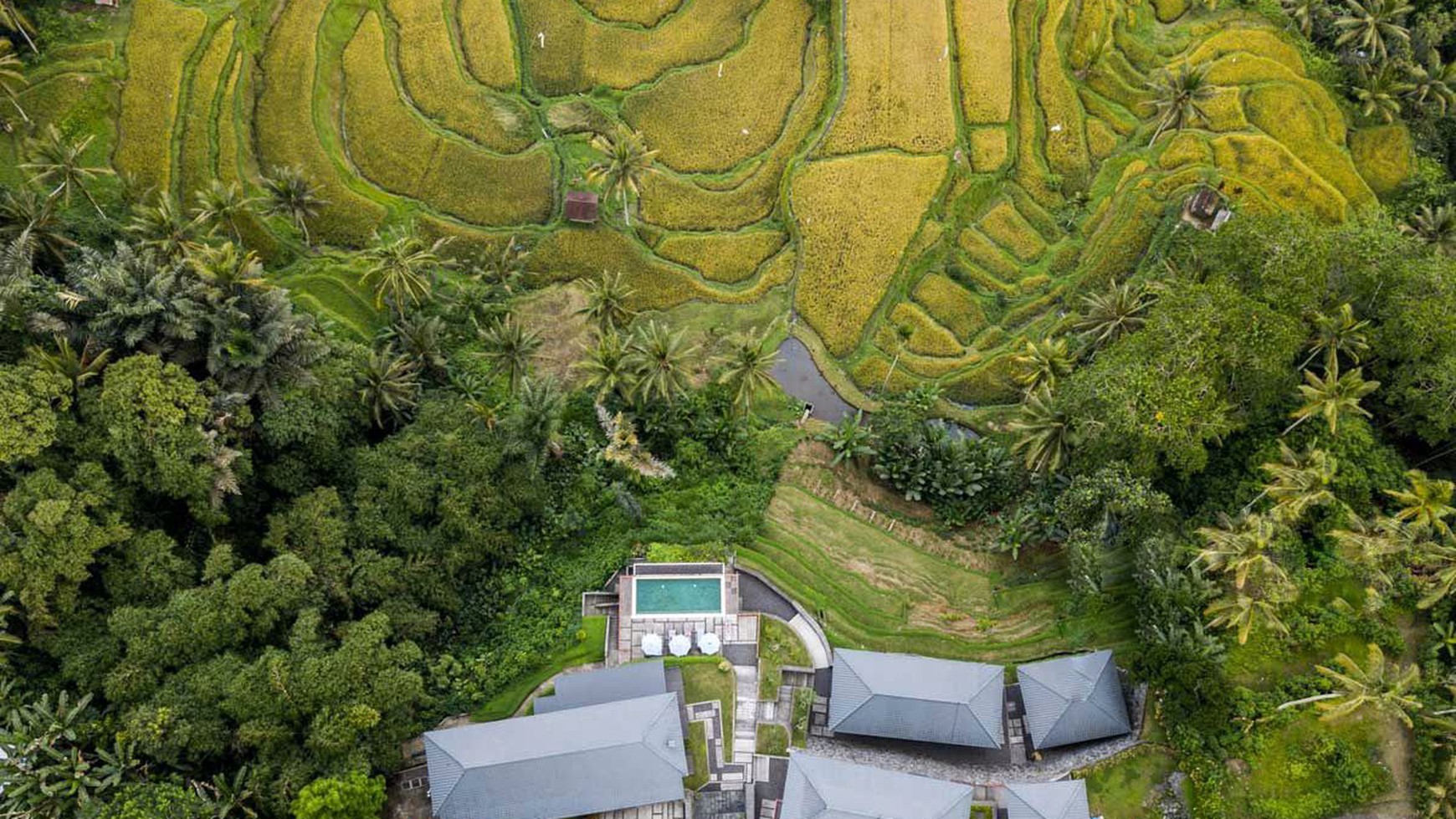 Freehold - Rice Field Vista Retreat Serene Luxury Living in Ubud's Panoramic Paradise