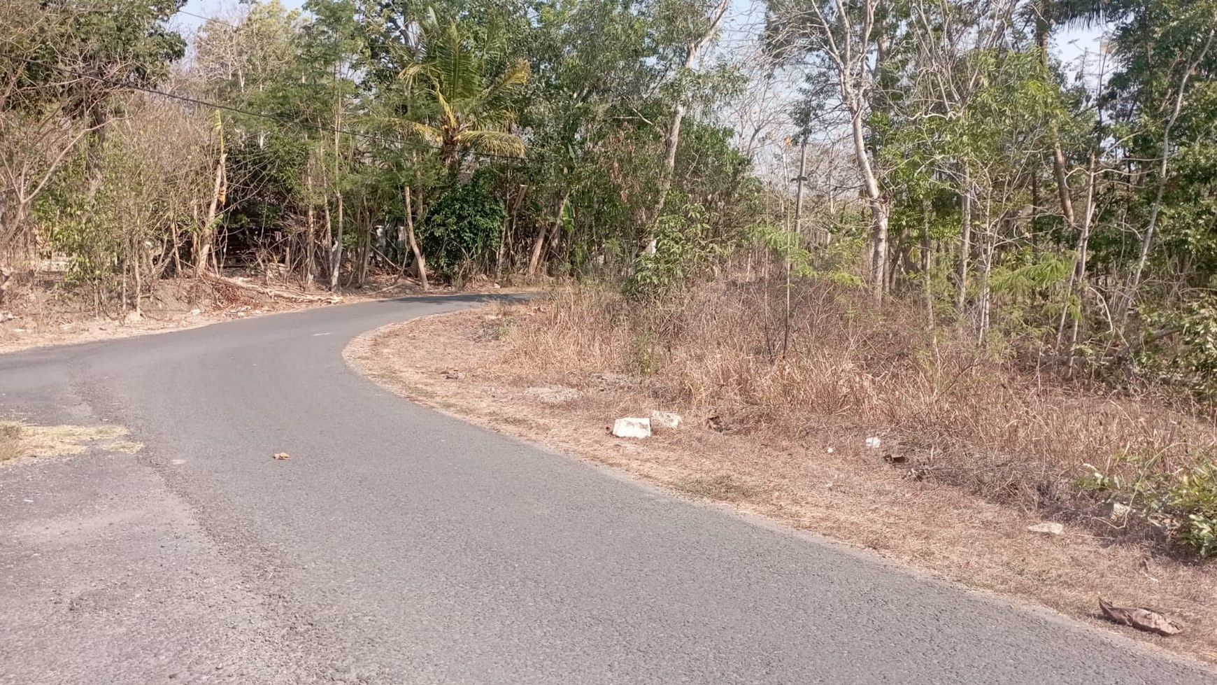 Tanah Luas 1269 Meter Persegi Lokasi Sedayu Bantul