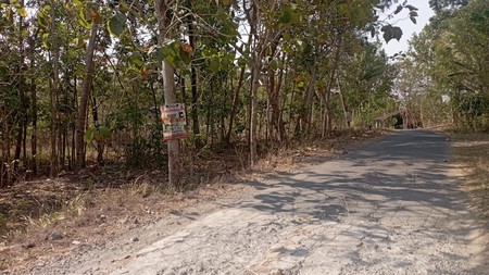 Tanah Luas 1269 Meter Persegi Lokasi Sedayu Bantul