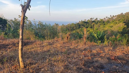 Beautiful View Land on the hill above Lovina For Sale