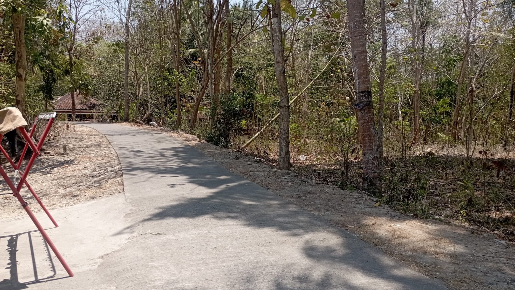 Tanah Luas 1940 Meter Persegi Lahan Pohon Jati di Pajangan Bantul 