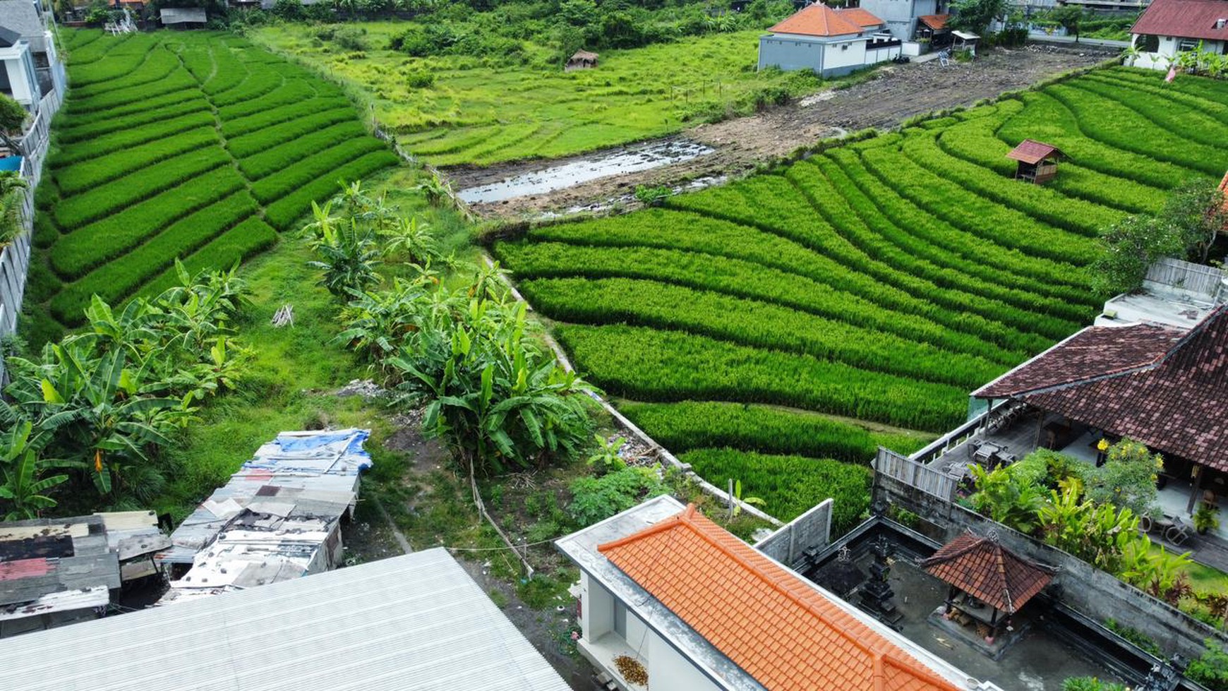 40 Are, 10 Are, For Leasehold Sale in Central Canggu