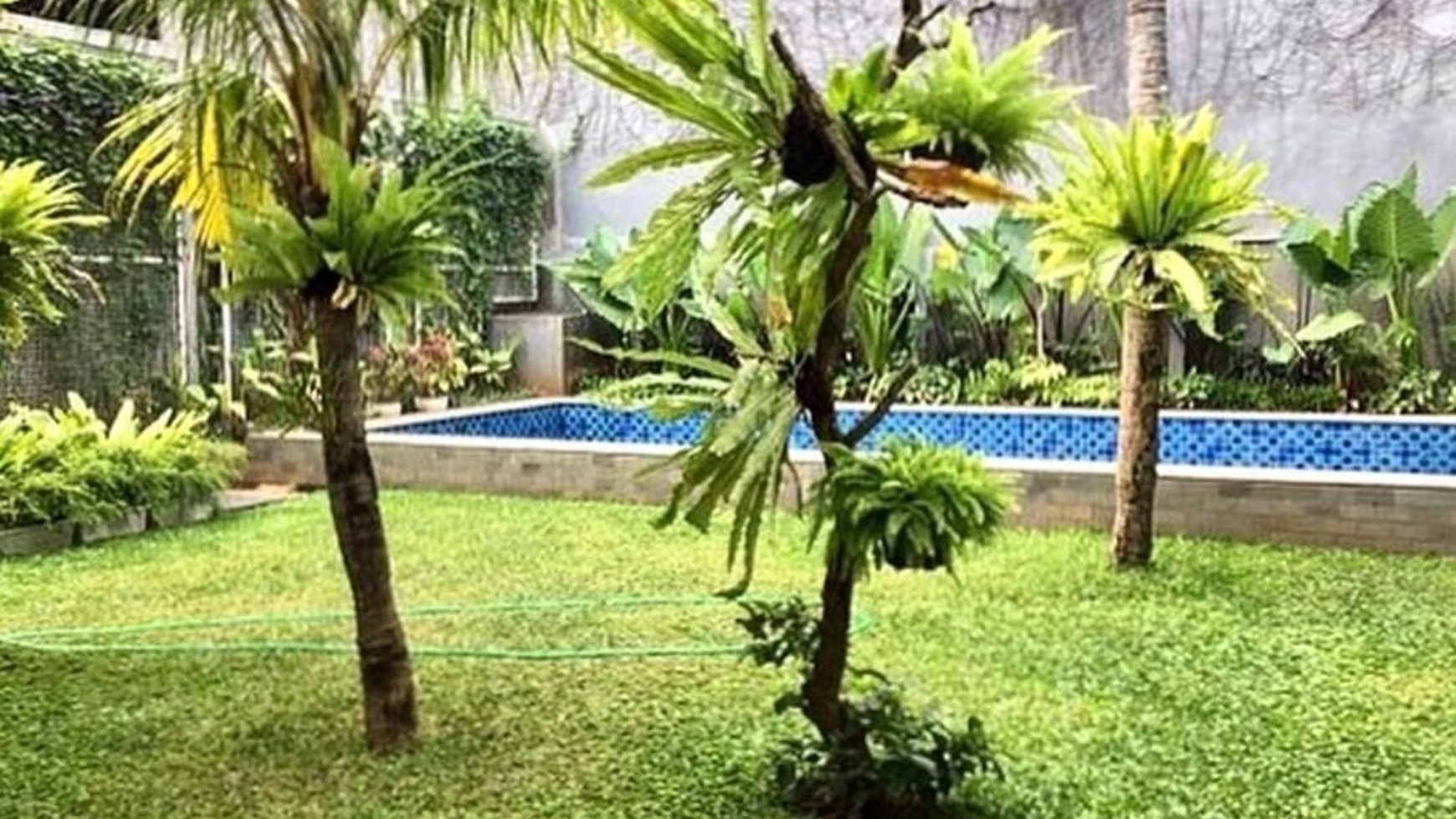 Rumah Luxury, Asri, Bagus lingkungan aman dan nyaman dengan Private Swimming Pool di Kemang