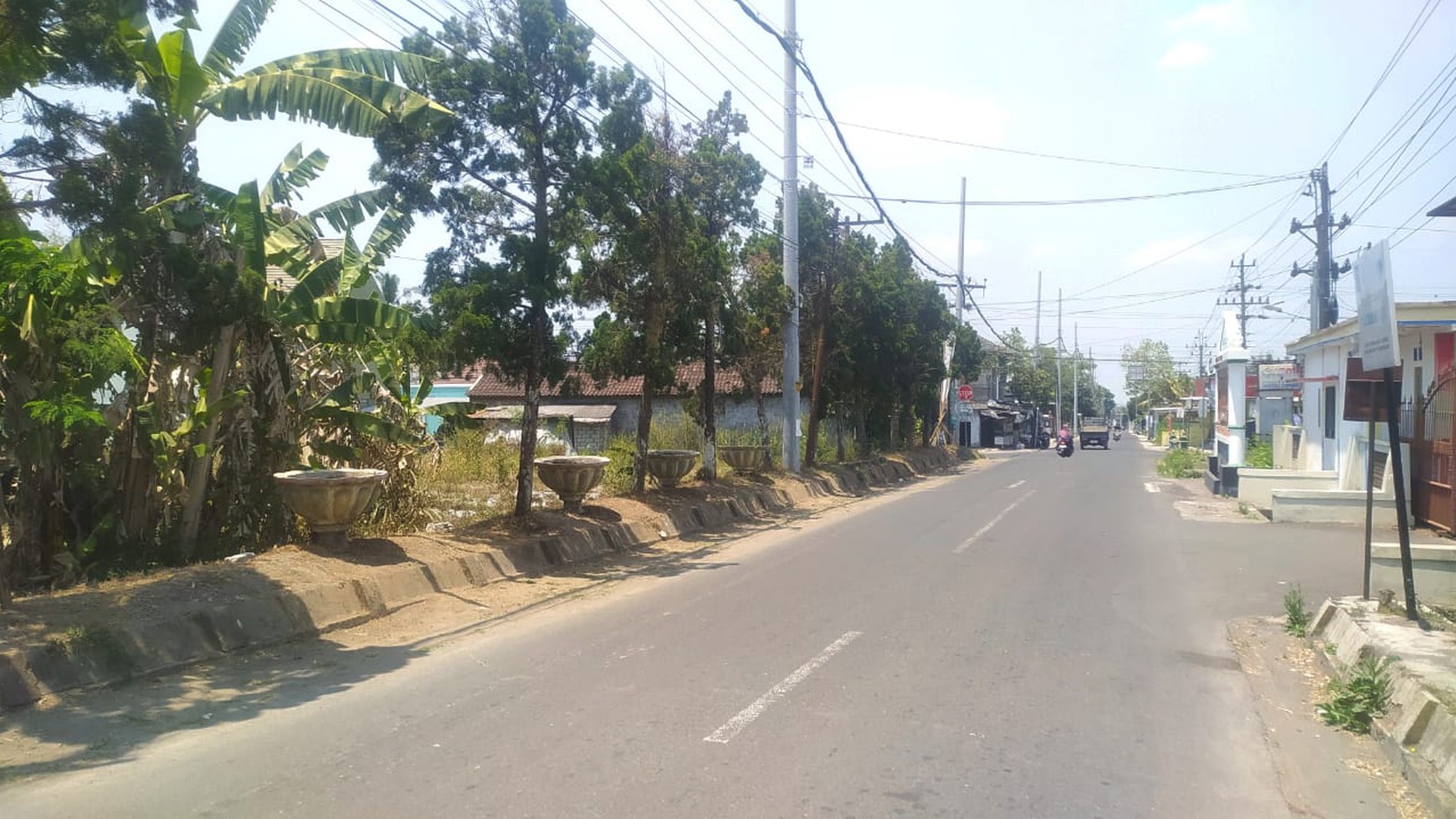 Tanah Sawah Luas 1412 Meter Persegi Lokasi Caturharjo Sleman  