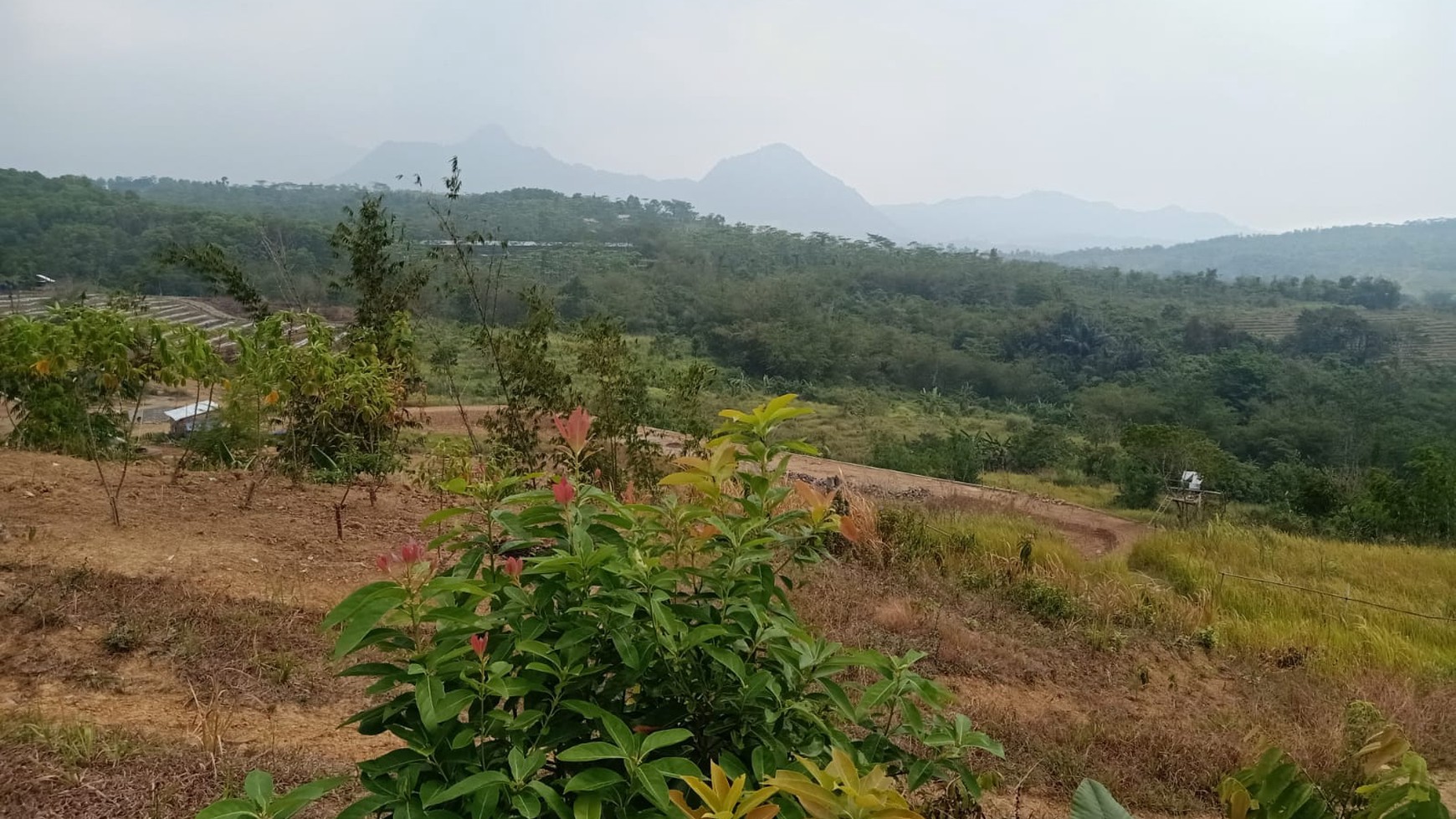 Lahan 23 Hektar di Sukajaya Jonggol Bogor 