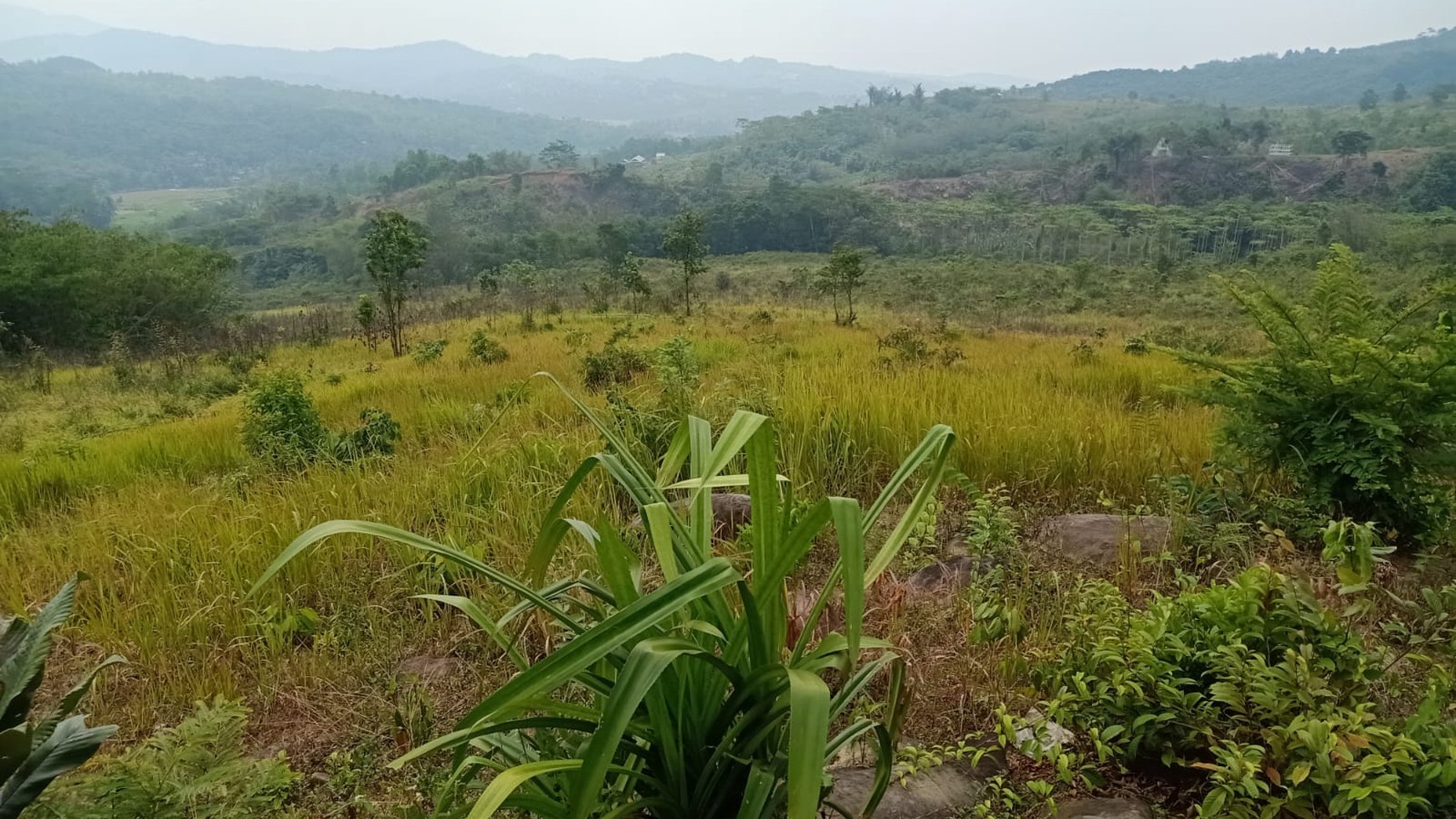 Lahan 23 Hektar di Sukajaya Jonggol Bogor 