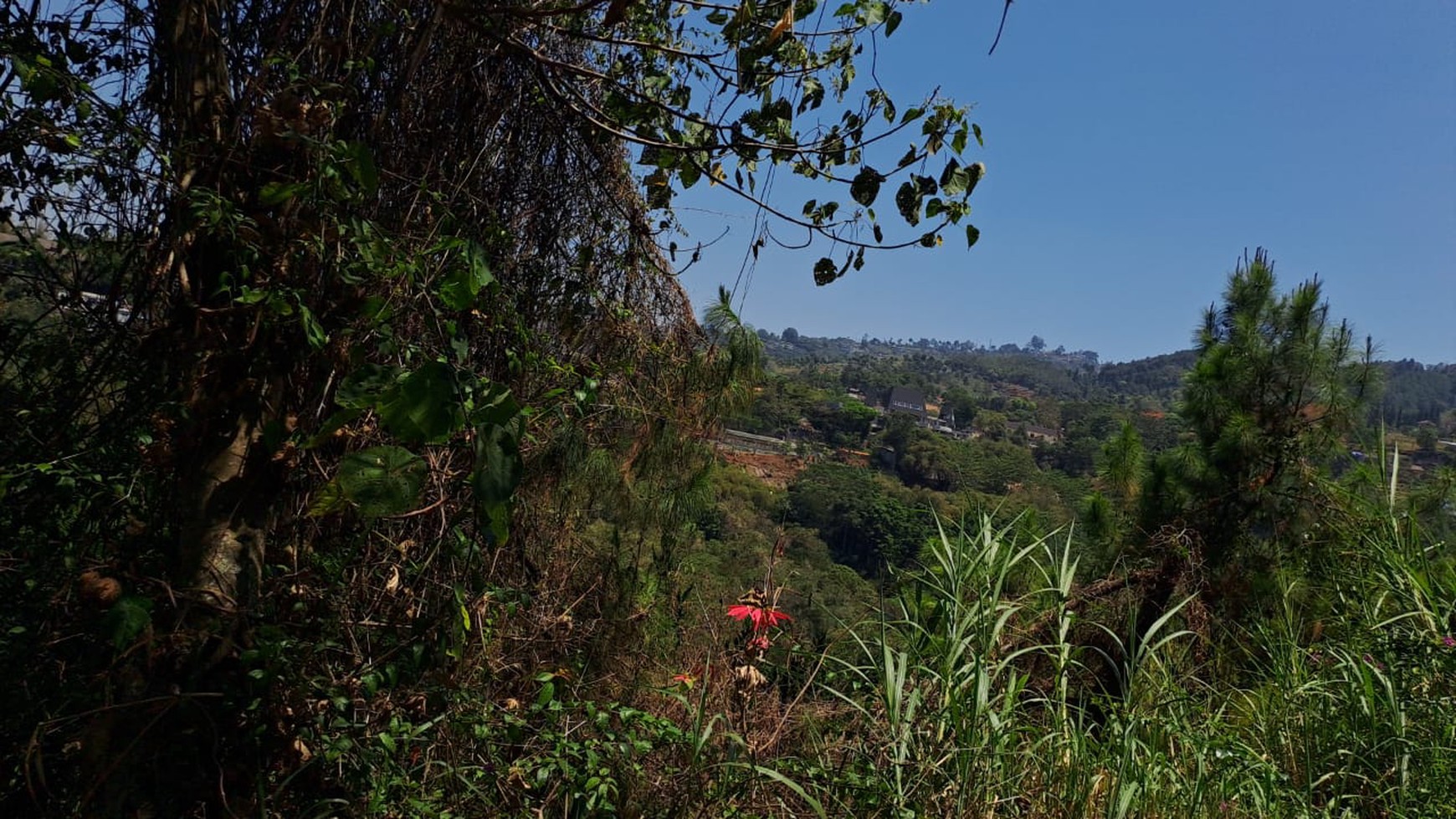 Kavling Siap Bangun di Daerah Dago, Bandung