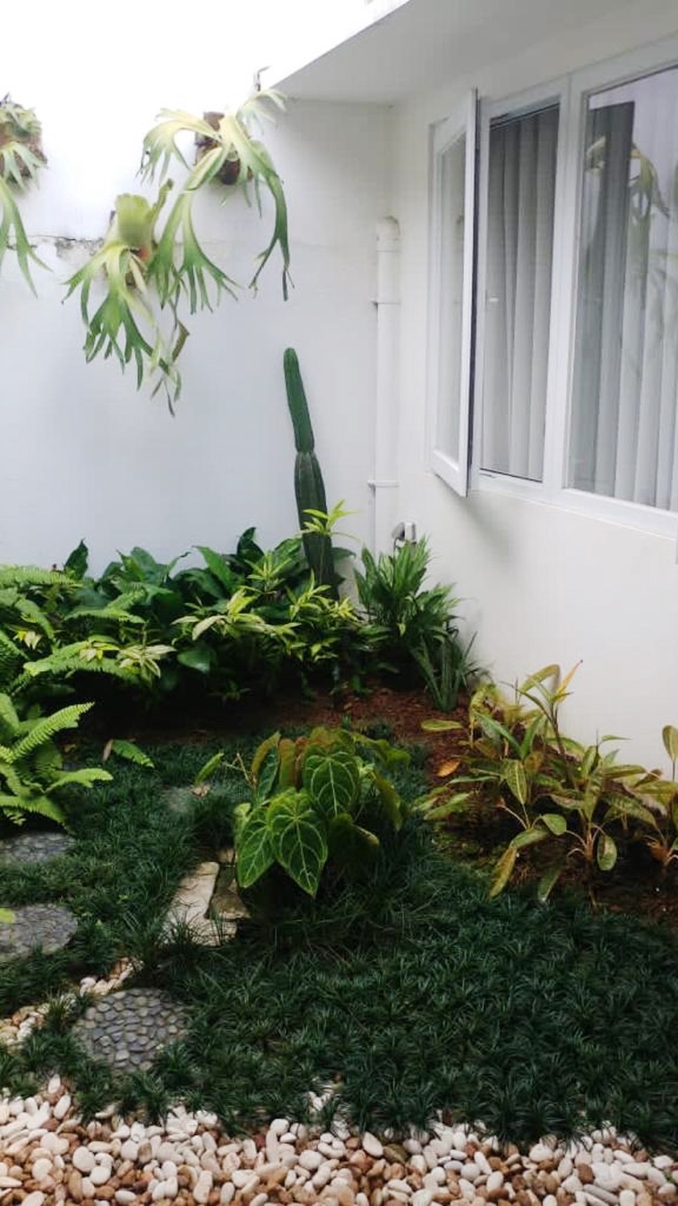 Dijual Rumah Bagus Di Anggrek Loka, BSD Tangerang Selatan