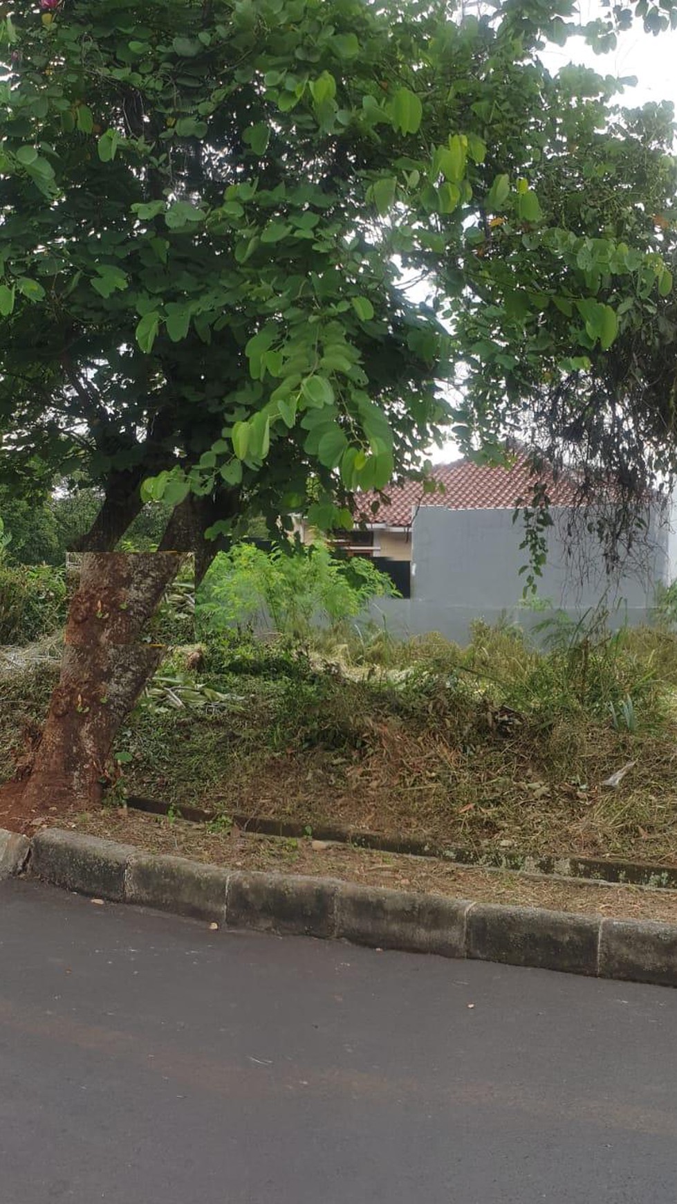 Kavling Bagus Kotak Diarea Cluster Bukit Mas Dekat Gatte Toll Veteran