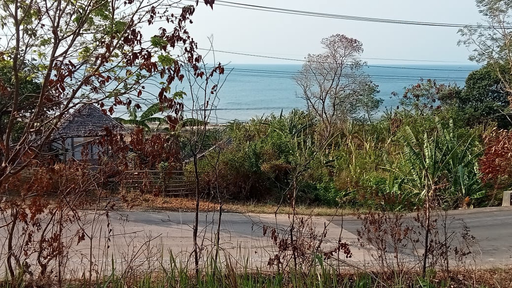 TANAH DEKAT KAWASAN WISATA TANJUNG LESUNG