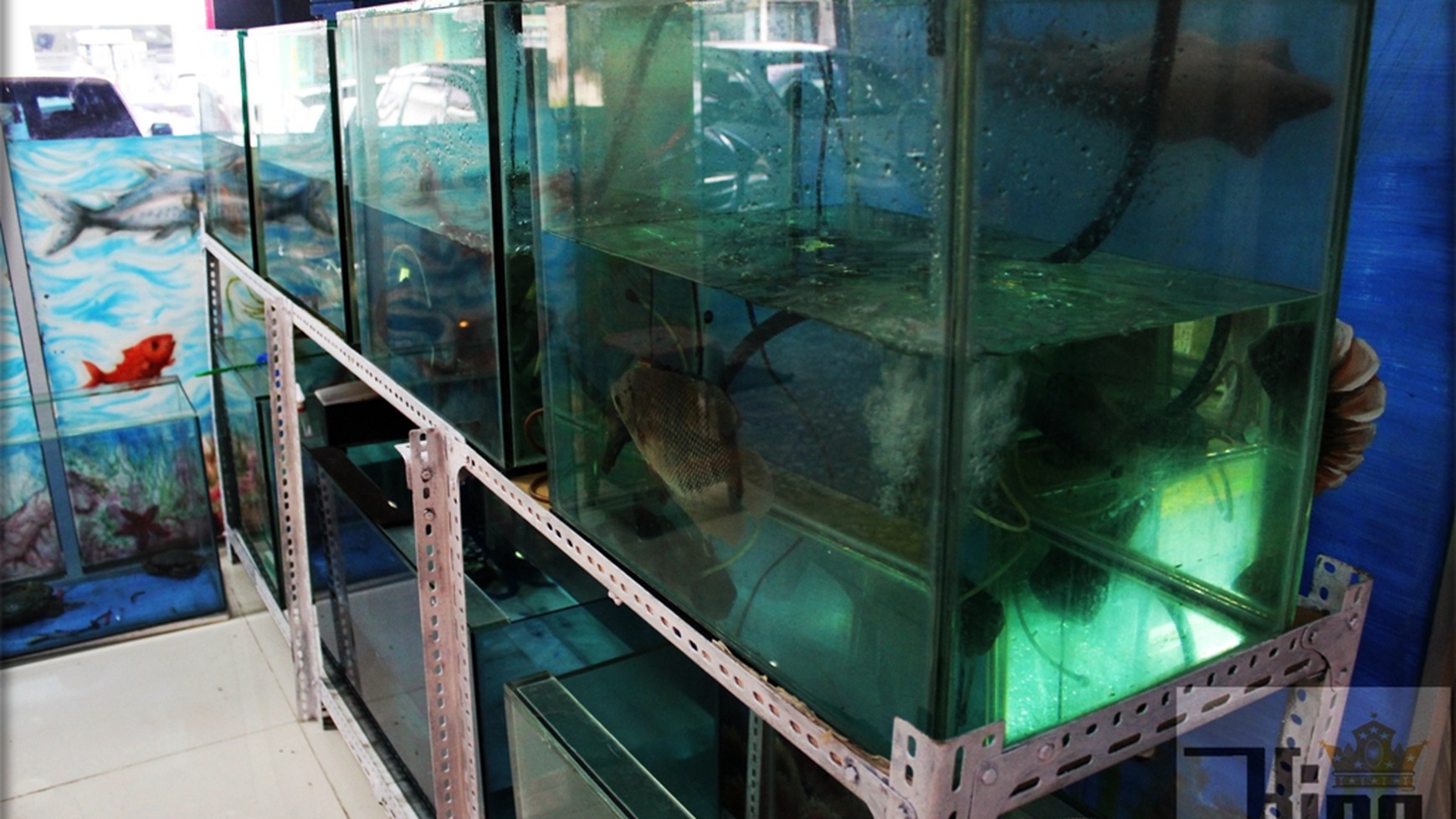 Hotel Melati Gagal Transaksi Open Lagi Bintaro Jaya Sektor 3.