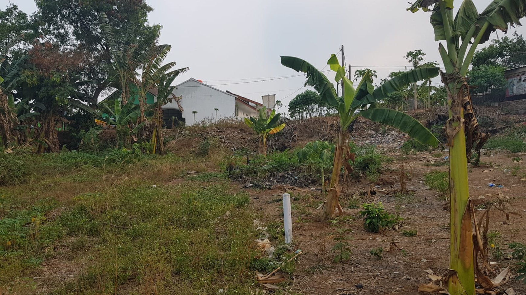 Kavling Murah di Gunung Sindur Kab. Bogor