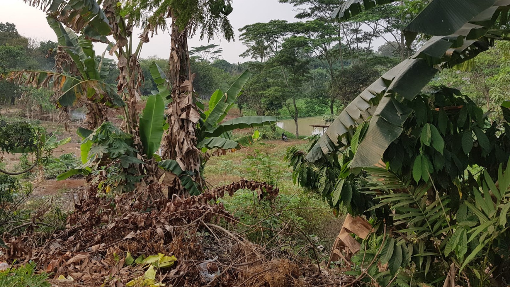 Kavling Murah di Gunung Sindur Kab. Bogor