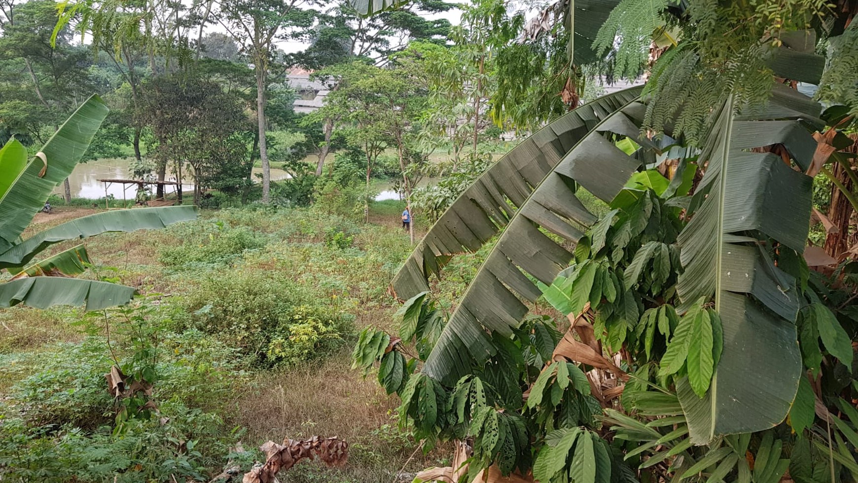 Kavling Murah di Gunung Sindur Kab. Bogor